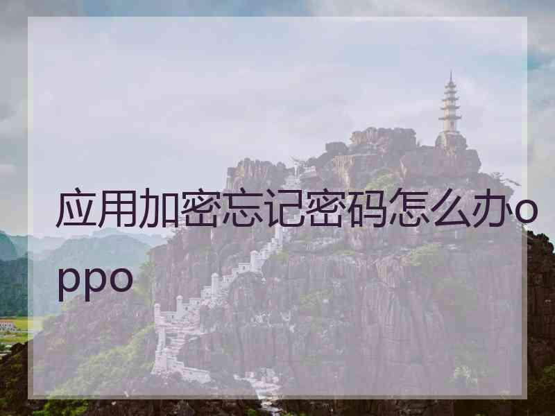 应用加密忘记密码怎么办oppo