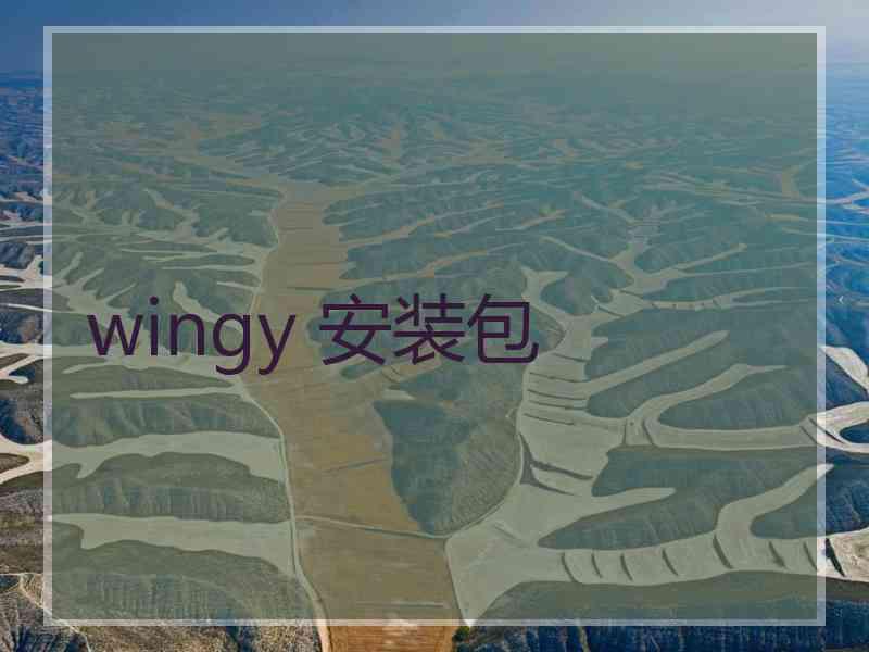 wingy 安装包