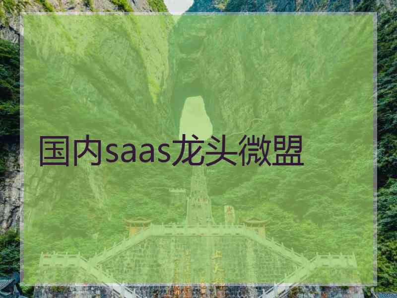 国内saas龙头微盟