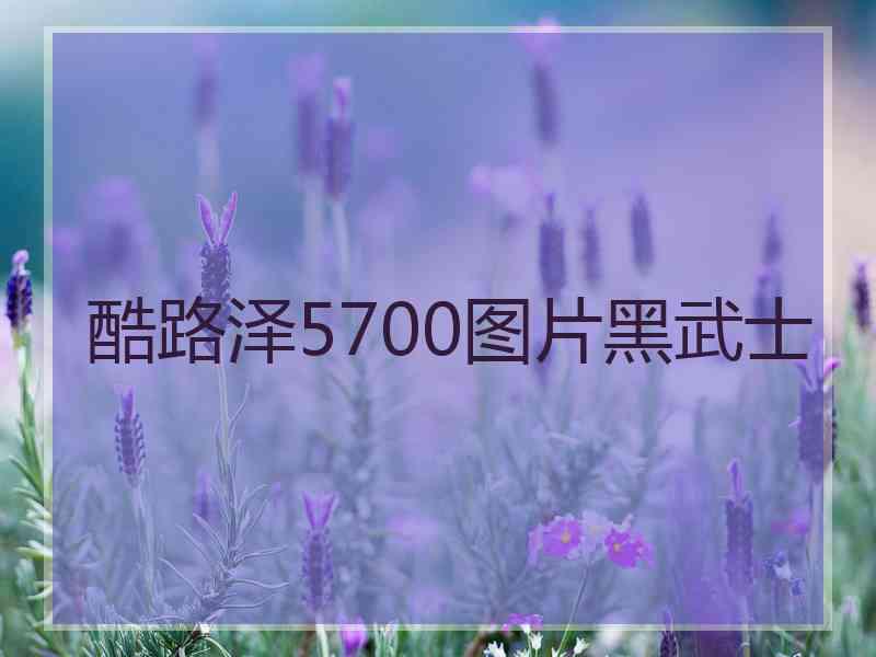 酷路泽5700图片黑武士