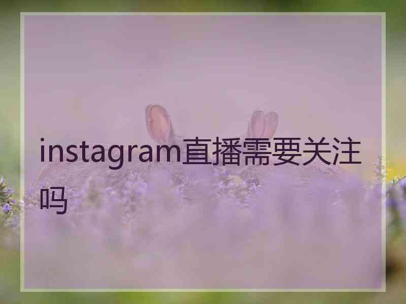 instagram直播需要关注吗