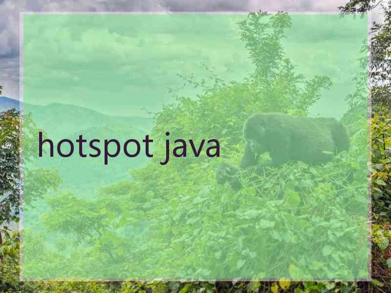 hotspot java