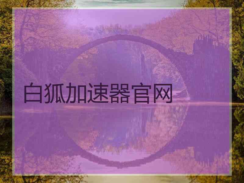 白狐加速器官网