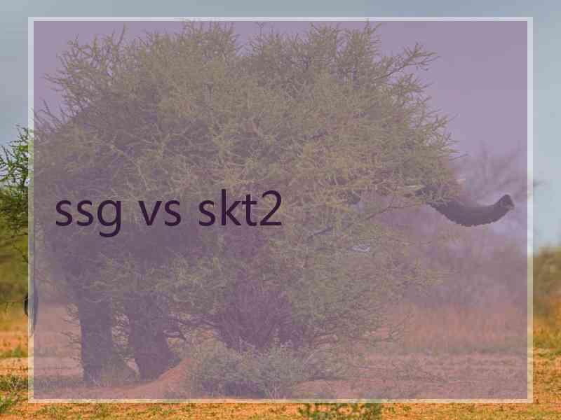 ssg vs skt2