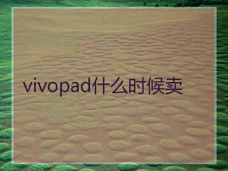 vivopad什么时候卖