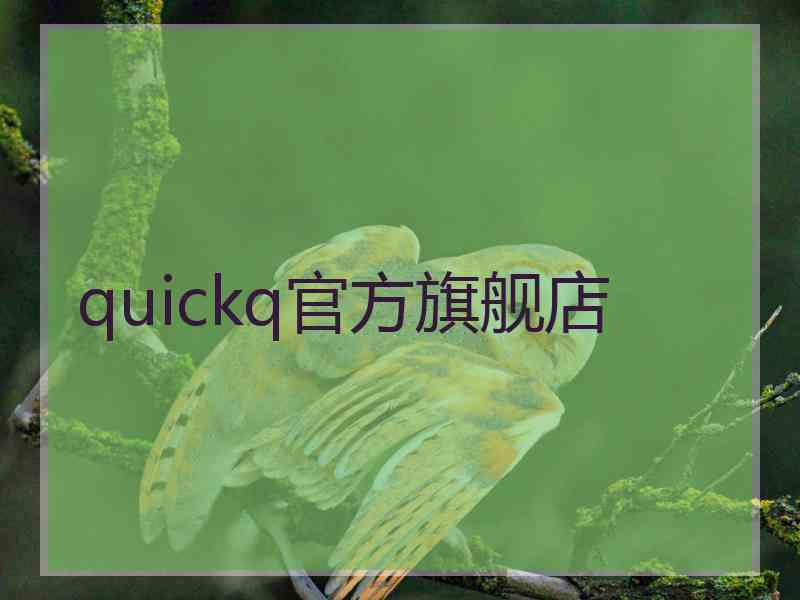 quickq官方旗舰店