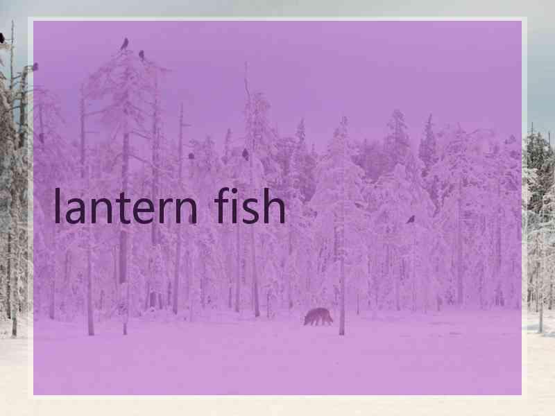 lantern fish