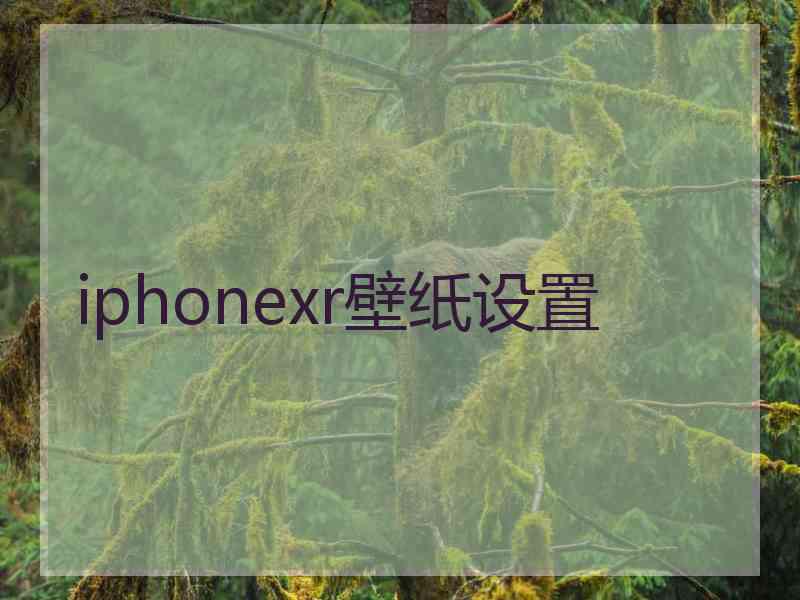 iphonexr壁纸设置