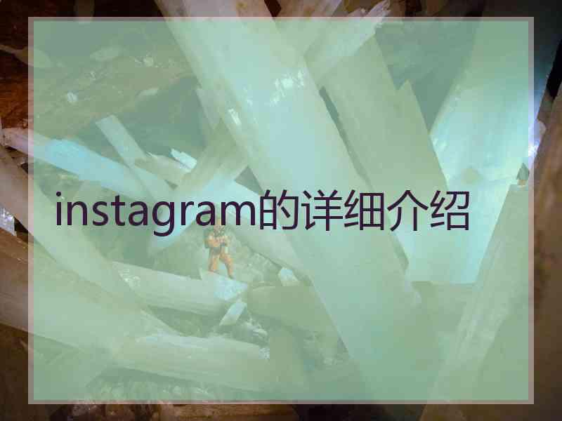 instagram的详细介绍