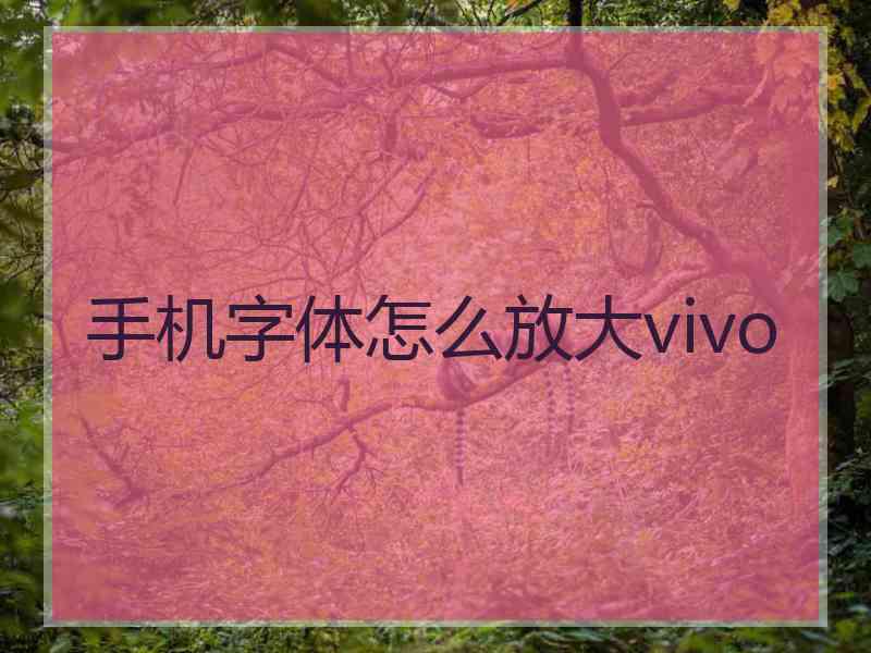 手机字体怎么放大vivo