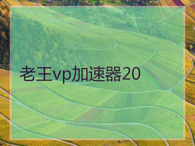 老王vp加速器20