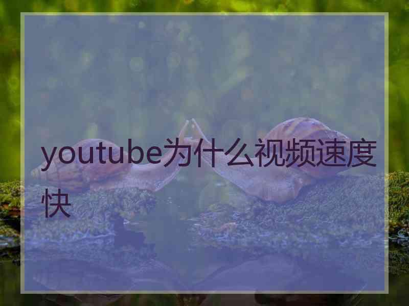 youtube为什么视频速度快