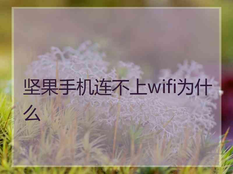 坚果手机连不上wifi为什么