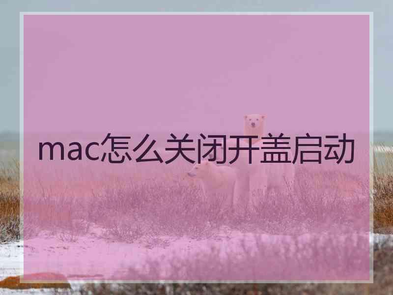 mac怎么关闭开盖启动