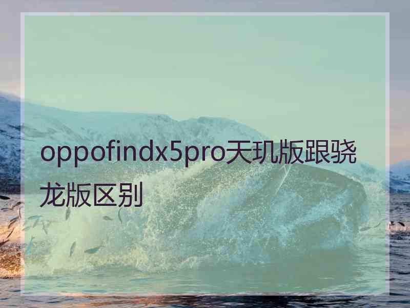 oppofindx5pro天玑版跟骁龙版区别