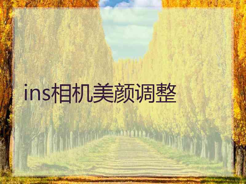 ins相机美颜调整