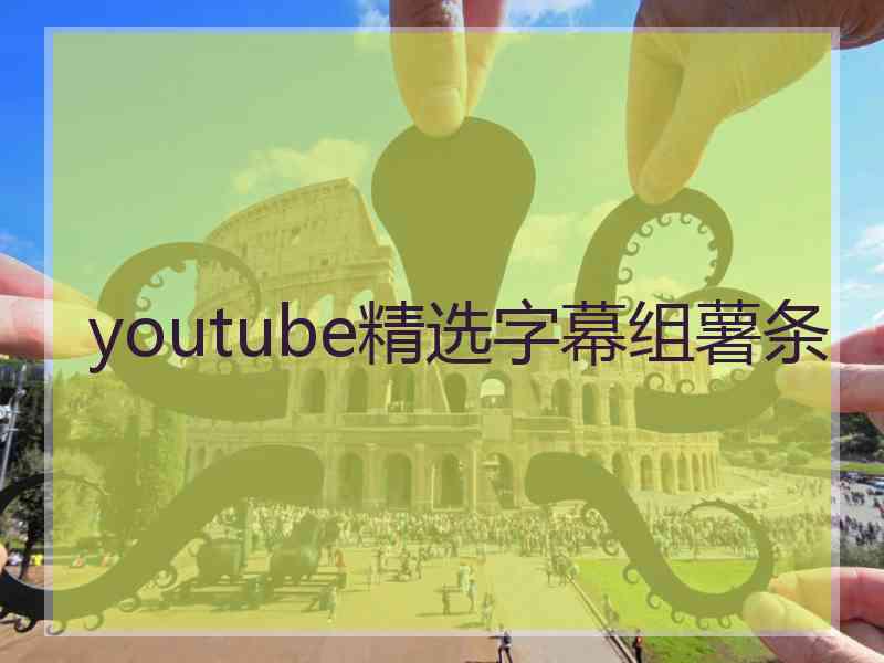 youtube精选字幕组薯条