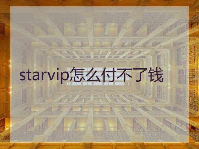 starvip怎么付不了钱