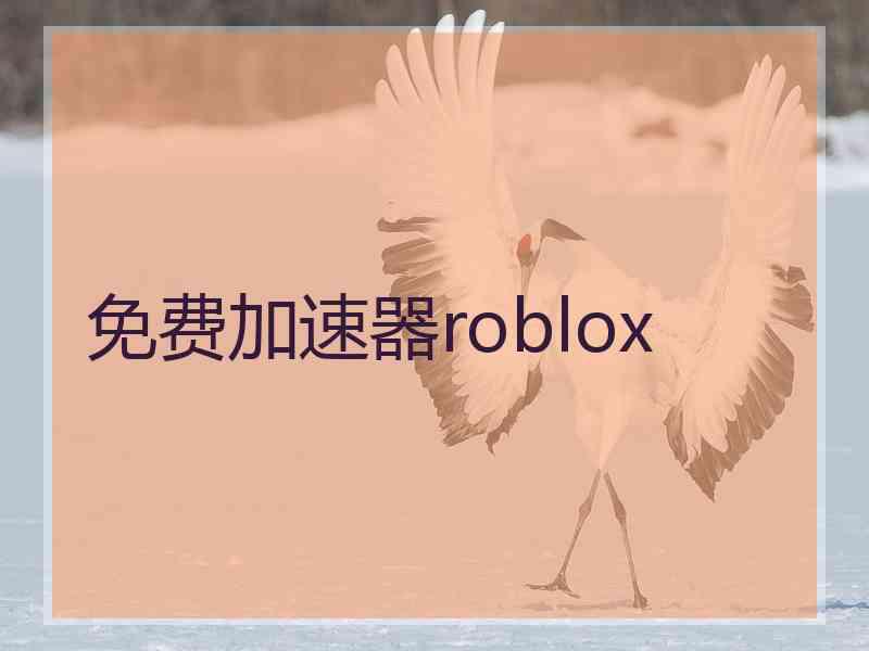 免费加速器roblox