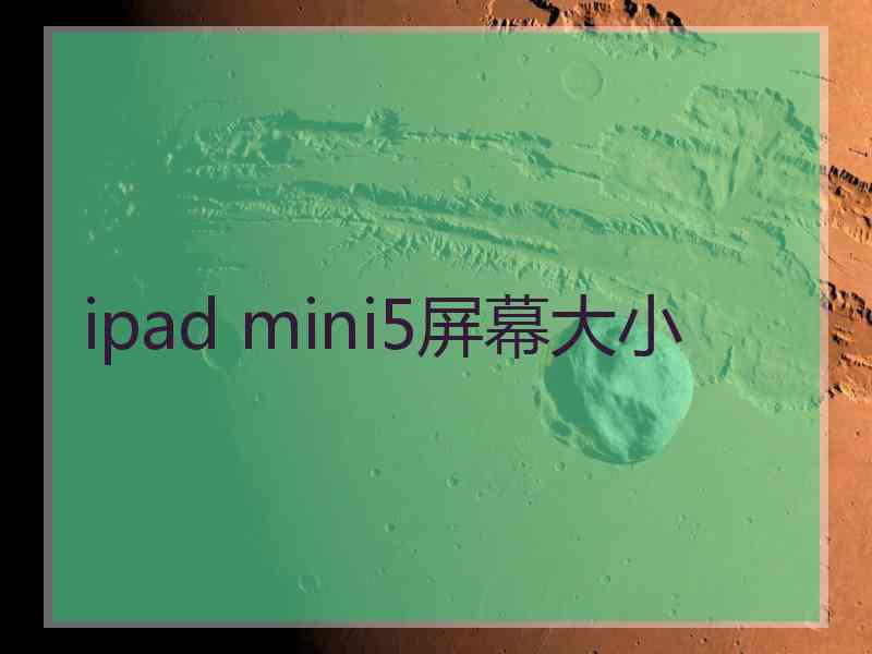 ipad mini5屏幕大小