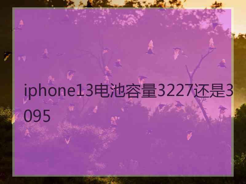 iphone13电池容量3227还是3095