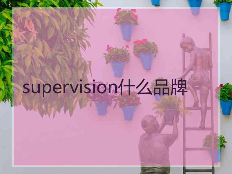 supervision什么品牌