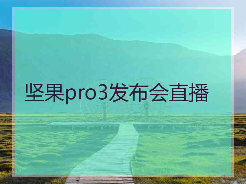 坚果pro3发布会直播