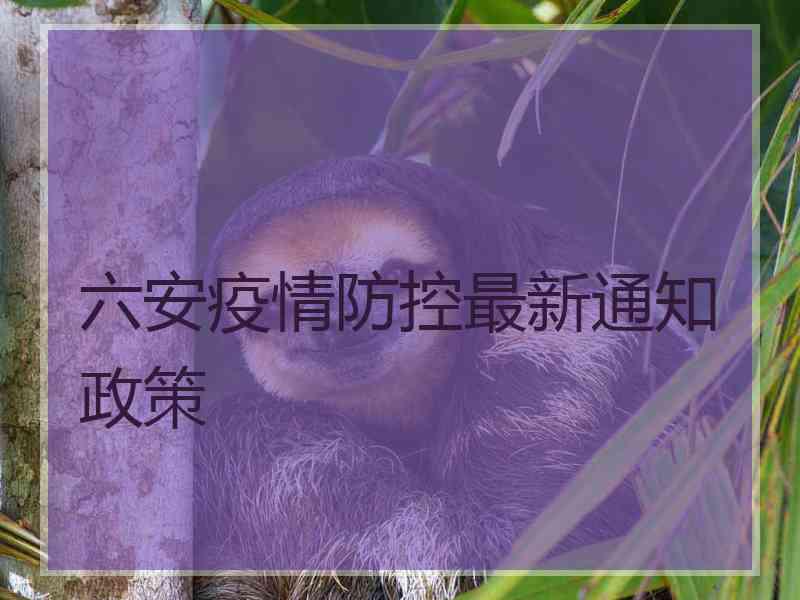 六安疫情防控最新通知政策