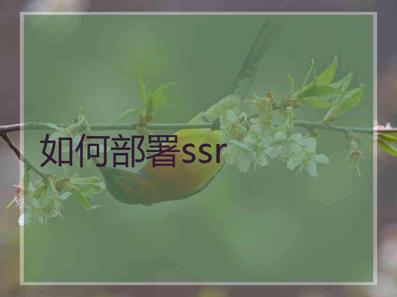 如何部署ssr