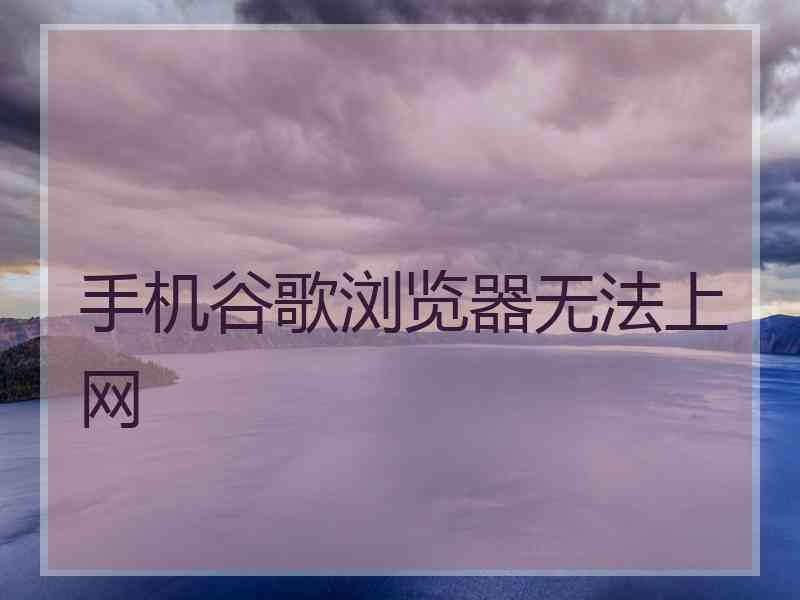 手机谷歌浏览器无法上网