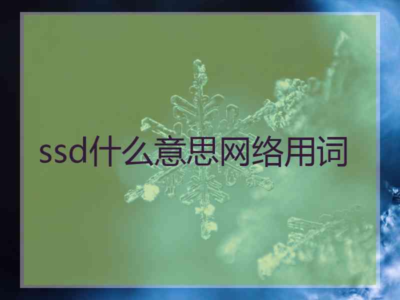 ssd什么意思网络用词