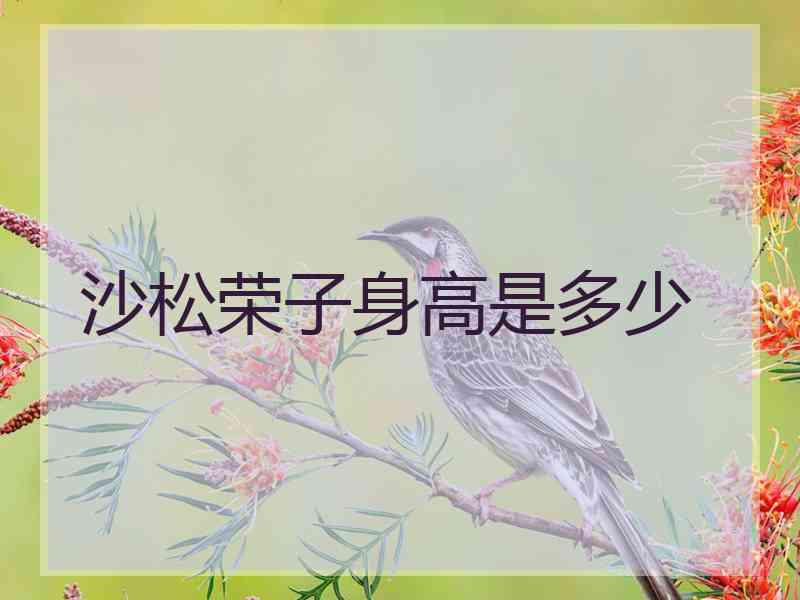 沙松荣子身高是多少