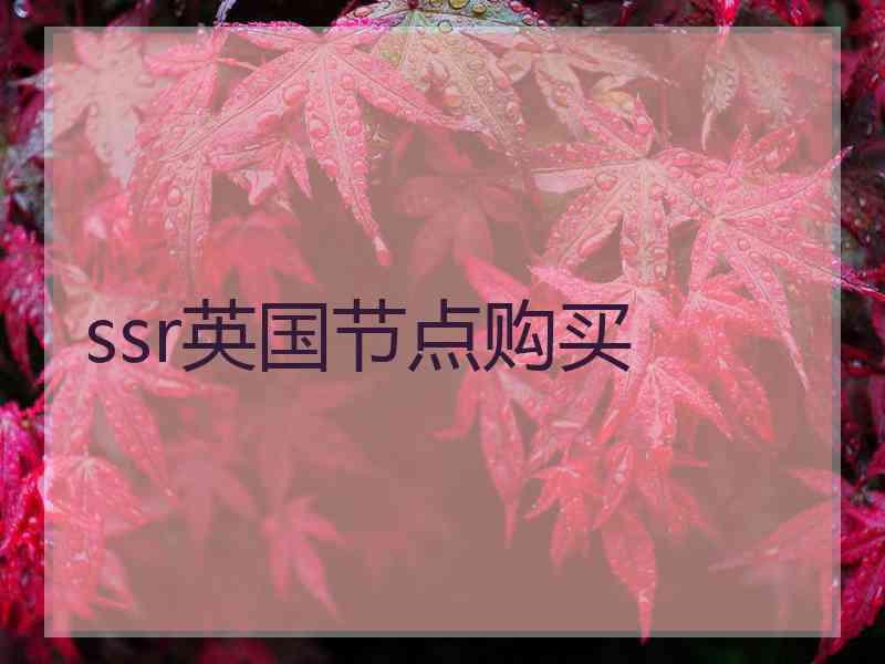 ssr英国节点购买