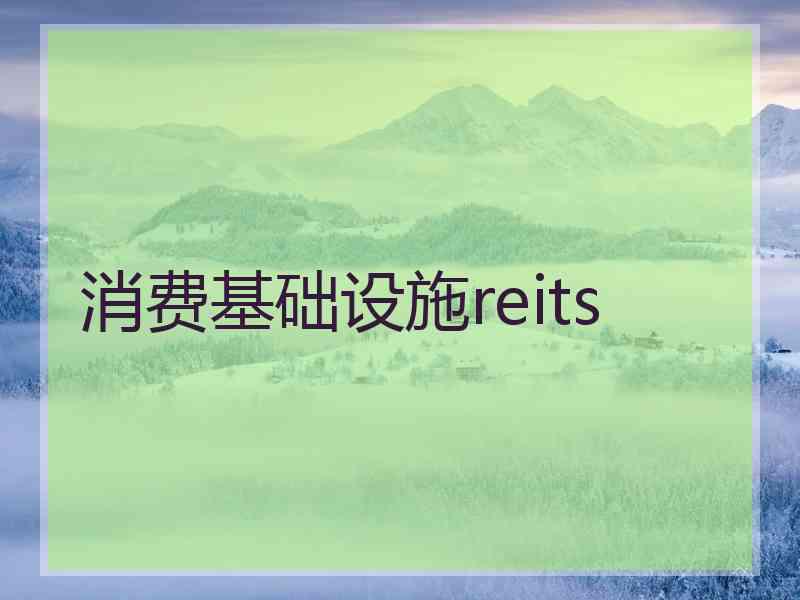 消费基础设施reits