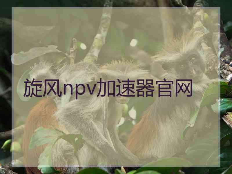 旋风npv加速器官网