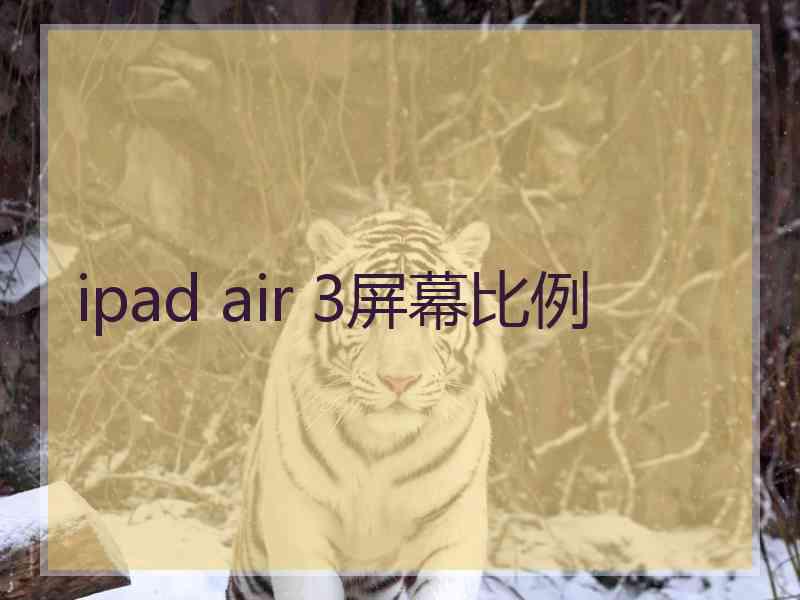 ipad air 3屏幕比例