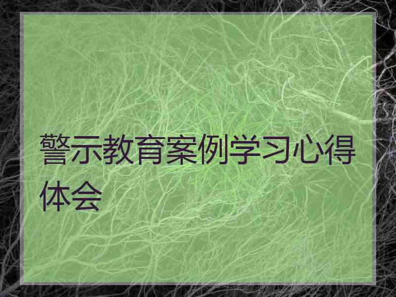 警示教育案例学习心得体会