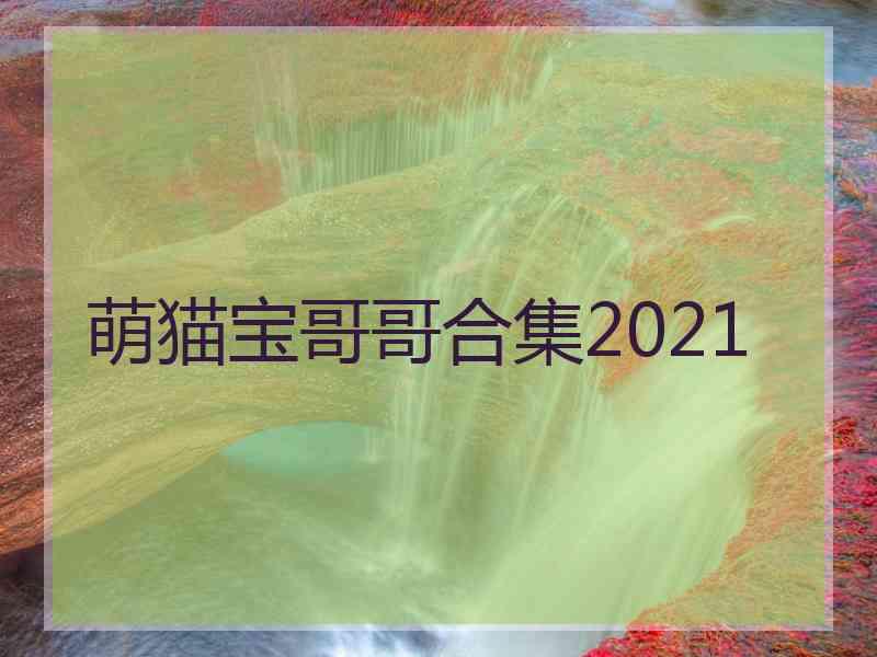 萌猫宝哥哥合集2021