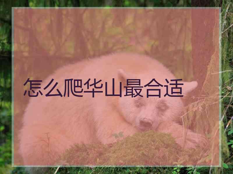 怎么爬华山最合适