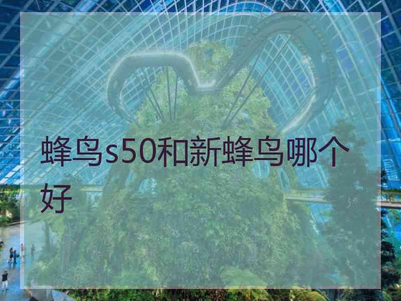 蜂鸟s50和新蜂鸟哪个好