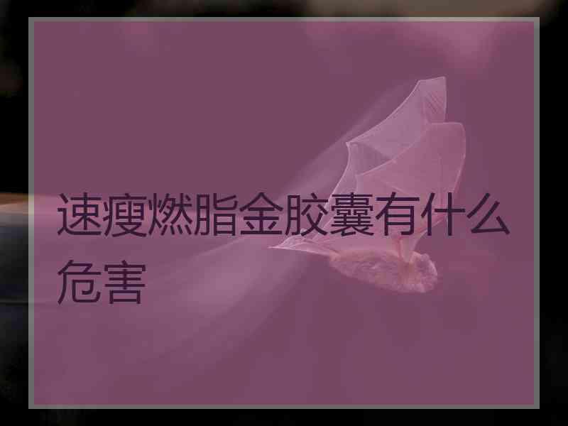 速瘦燃脂金胶囊有什么危害