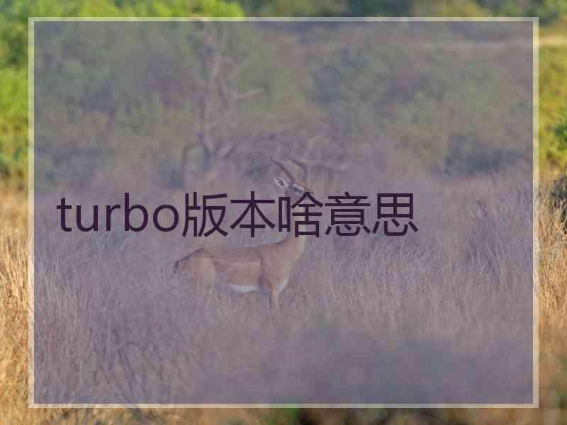 turbo版本啥意思