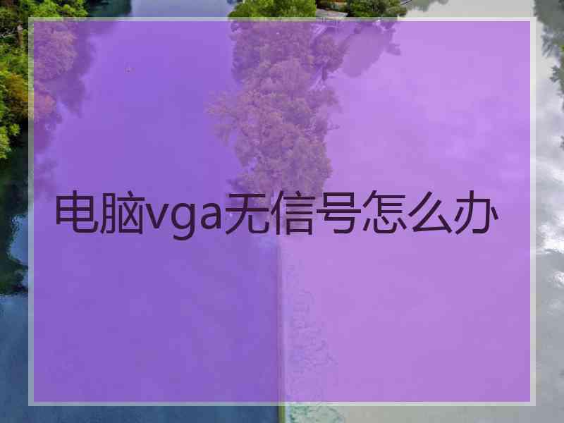 电脑vga无信号怎么办