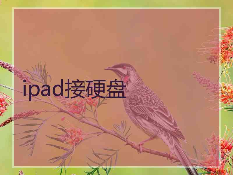 ipad接硬盘