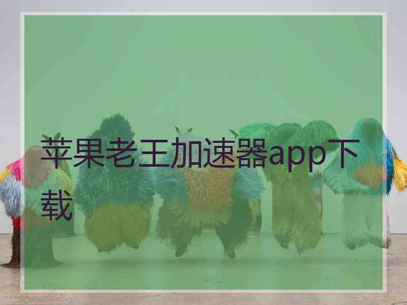 苹果老王加速器app下载