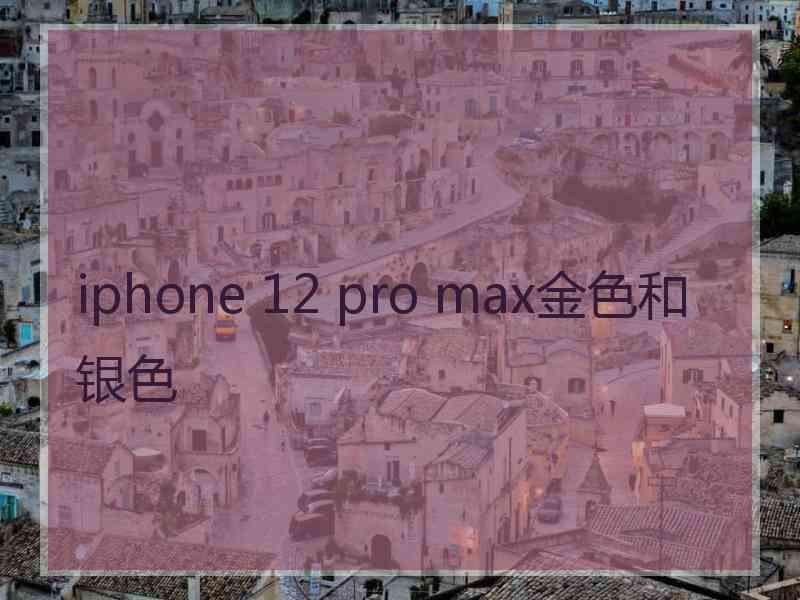 iphone 12 pro max金色和银色