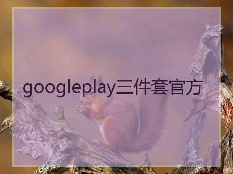 googleplay三件套官方