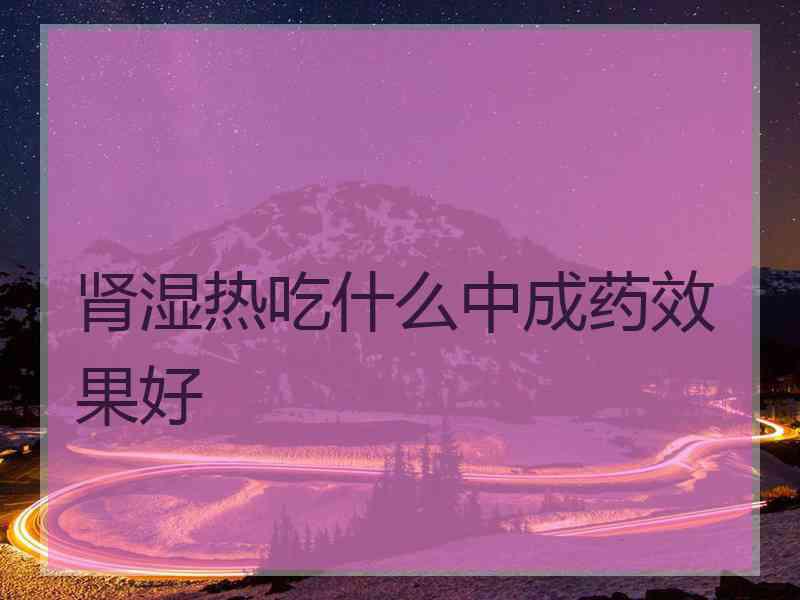 肾湿热吃什么中成药效果好