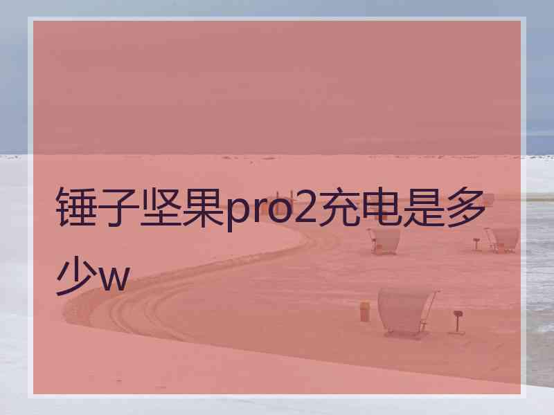 锤子坚果pro2充电是多少w