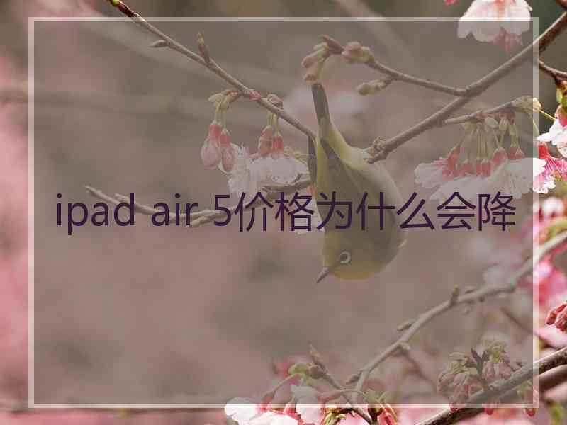 ipad air 5价格为什么会降